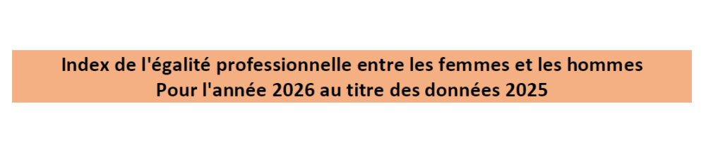 Égalité professionnelle entre les femmes et les hommes