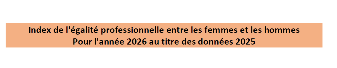 Égalité professionnelle entre les femmes et les hommes
